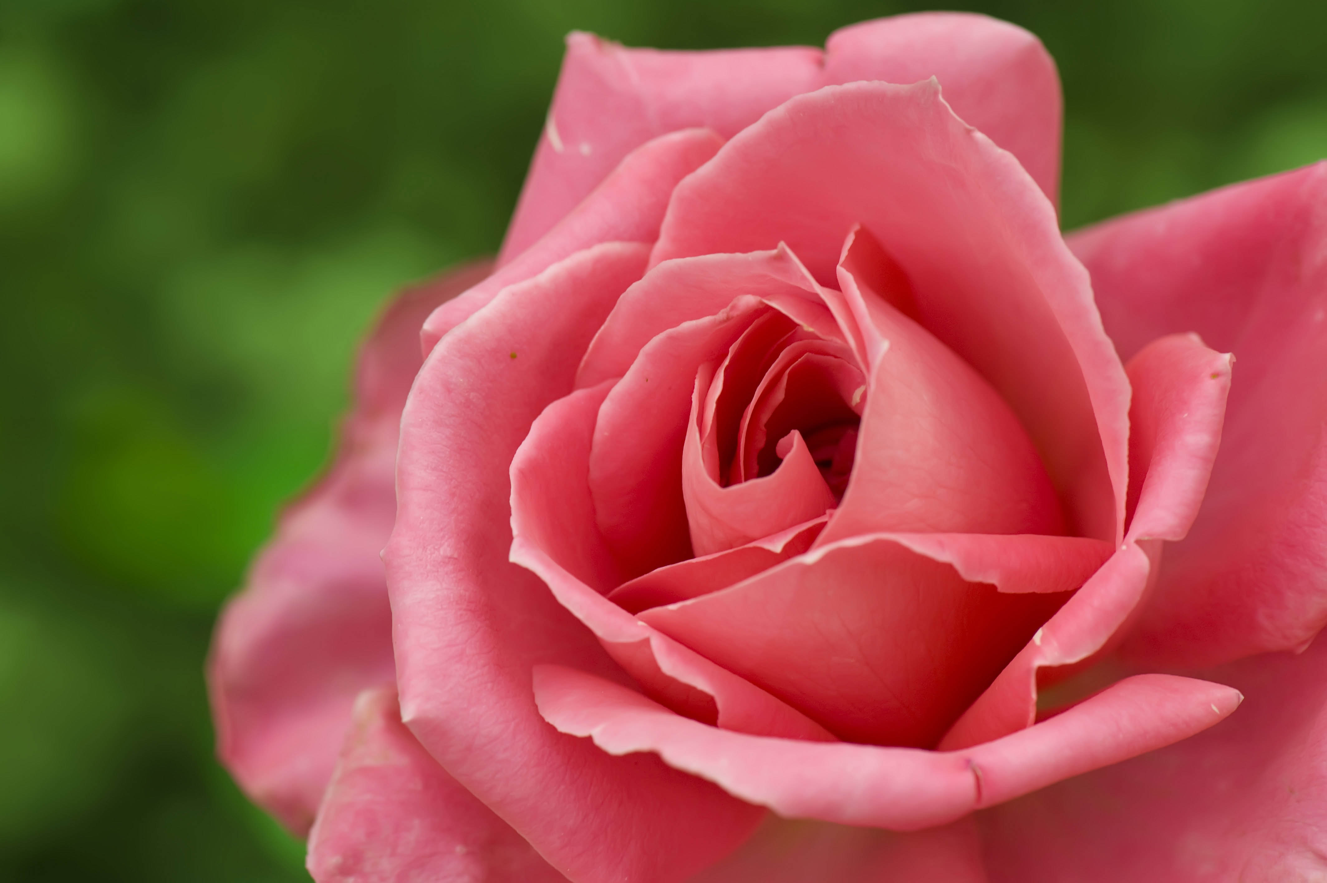 http://i.dcview.tw/gallery/201011/e58850a15a543eb4f421fe9777d07b58.jpg