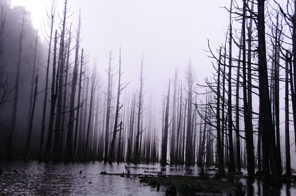 http://i.dcview.tw/gallery/201011/e6a5d79065cdd27d94e277f997060708.jpg