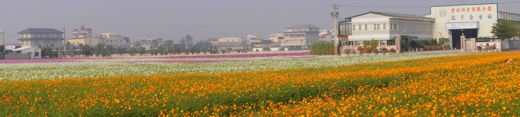 http://i.dcview.tw/gallery/201011/f743a4d7e377c45d6d607b7c808b1ca8.jpg