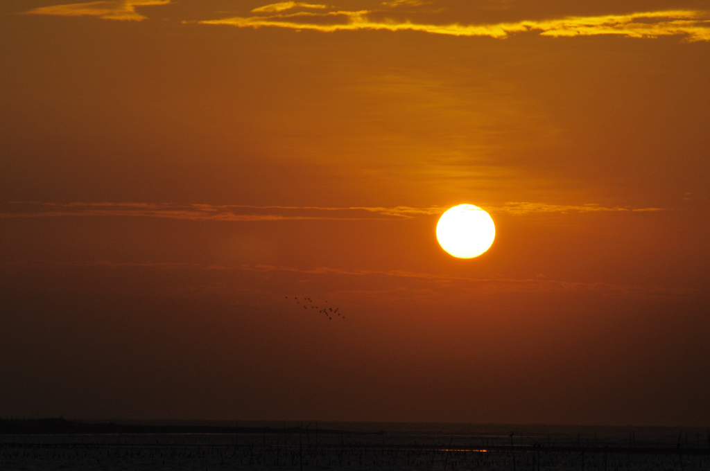 http://i.dcview.tw/gallery/201012/07bfc2971766a9a17dfcbbf37a107b6d.jpg