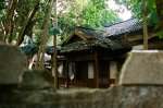 漫步青田街