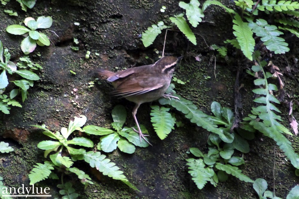 http://i.dcview.tw/gallery/201012/206f318098e3527f67ddf0b72ce5b08c.jpg