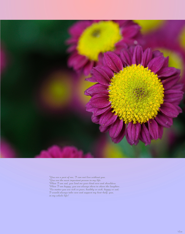 http://i.dcview.tw/gallery/201012/25c9a53e7a5b1bd4a32b838842e038fe.jpg