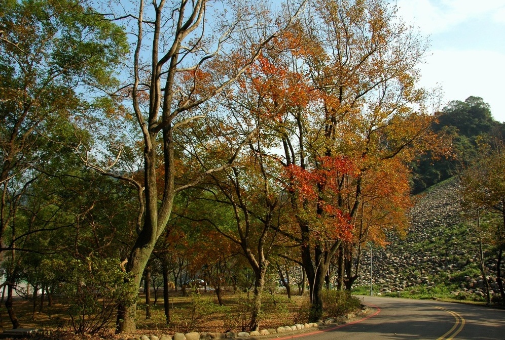 http://i.dcview.tw/gallery/201012/295c81b8e19fe53596b83564dee9517d.jpg