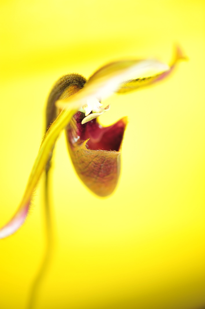 http://i.dcview.tw/gallery/201012/3377c9e7d51d1ac35e49193dabdc8f8d.jpg