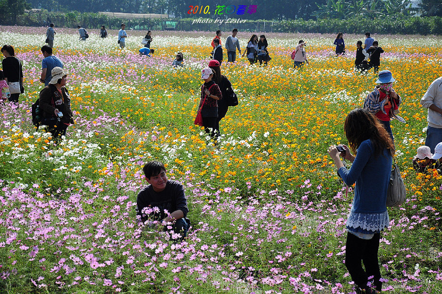 http://i.dcview.tw/gallery/201012/37c7223325d4e276a660cad46726c031.jpg