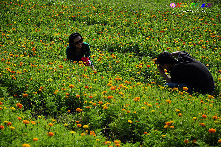 http://i.dcview.tw/gallery/201012/3fe44ed78a012a5eef2e33d272203dd1.jpg
