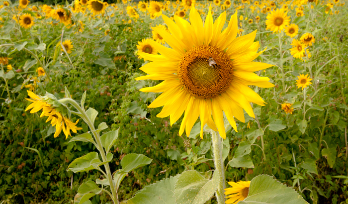 http://i.dcview.tw/gallery/201012/48ccd7dde2f425041fdf812c8c345201.jpg