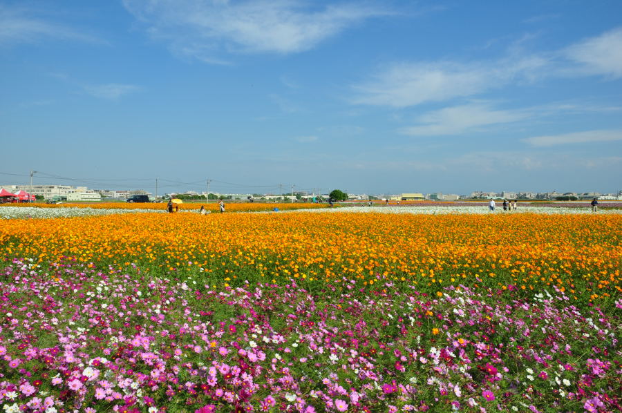 http://i.dcview.tw/gallery/201012/56223bfe9374dd8d15a09524e5f88570.jpg