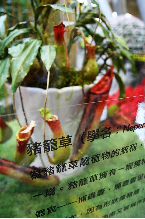 http://i.dcview.tw/gallery/201012/564c998ae56edfa5c32750acdd4a0b1f.jpg