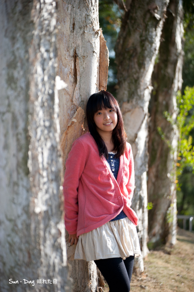 http://i.dcview.tw/gallery/201012/65cd03a190c9b6a338fd7fd7138a099d.jpg