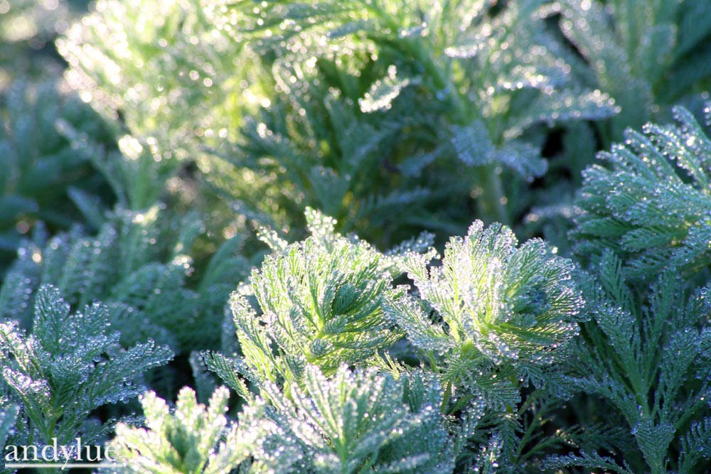 http://i.dcview.tw/gallery/201012/6ccbe36ec47037d677ff31e7026f60f4.jpg