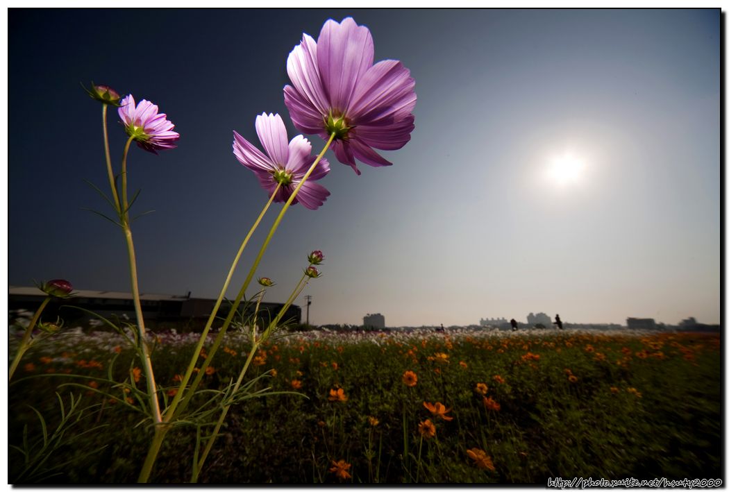 http://i.dcview.tw/gallery/201012/6fb4bb75ce92a7d4b5ce9fc5b5946374.jpg