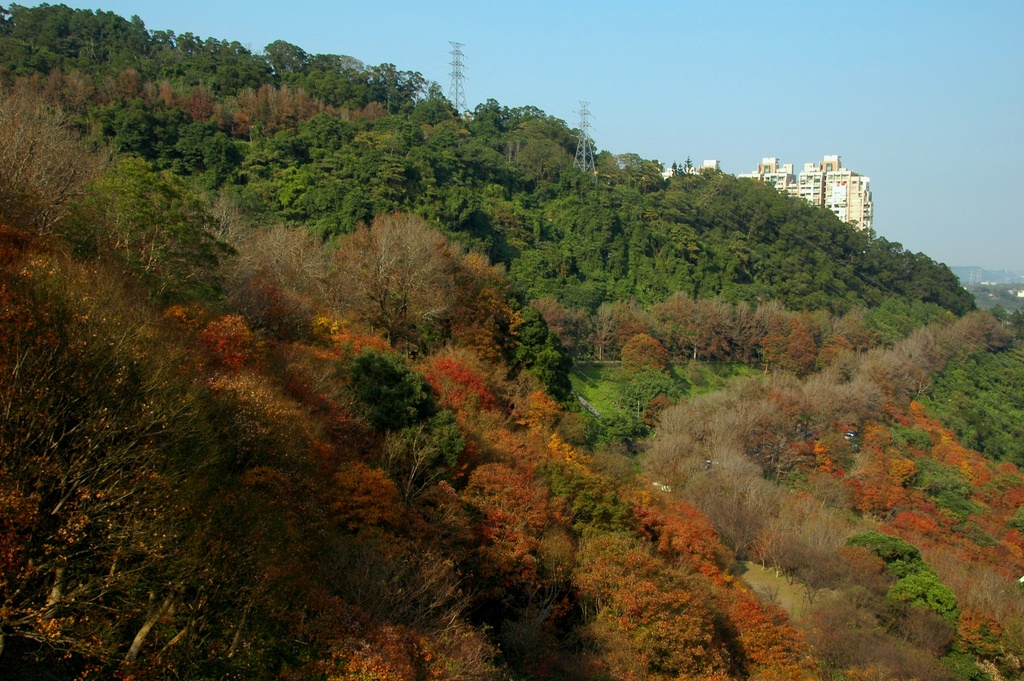 http://i.dcview.tw/gallery/201012/725a5452892e38039050eea2e1ac402e.jpg