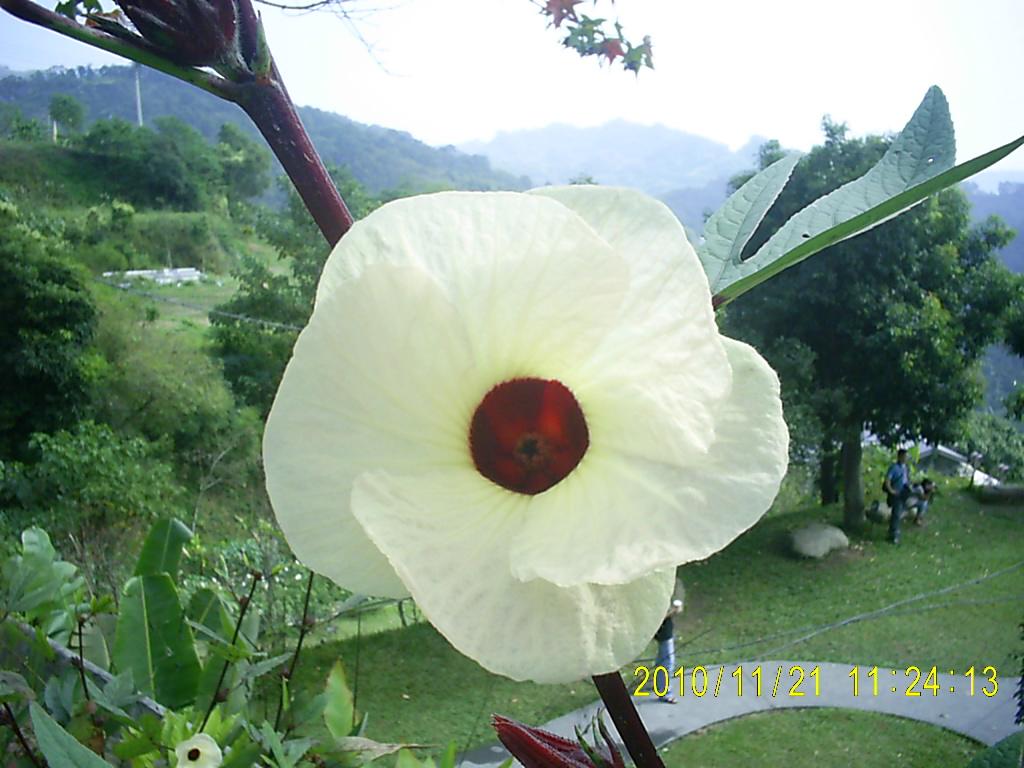 http://i.dcview.tw/gallery/201012/76c6bdfff66e194bfbc062336d9ed7b1.jpg