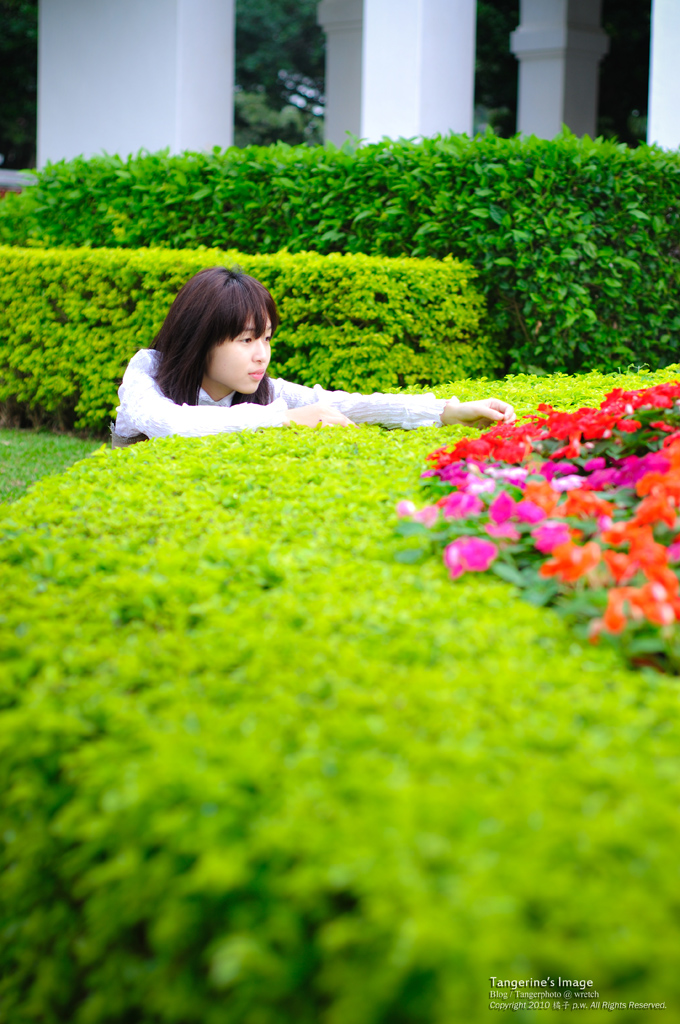 http://i.dcview.tw/gallery/201012/776efb6b1cbbbbf145df2c788d59f2ef.jpg