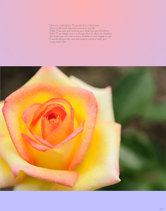 http://i.dcview.tw/gallery/201012/7cd8925de0d1088d499f3c3b8fb3e085.jpg