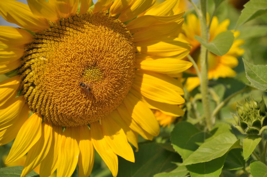 http://i.dcview.tw/gallery/201012/7f25a984ebabbc2679d7a5b1e9d3e883.jpg