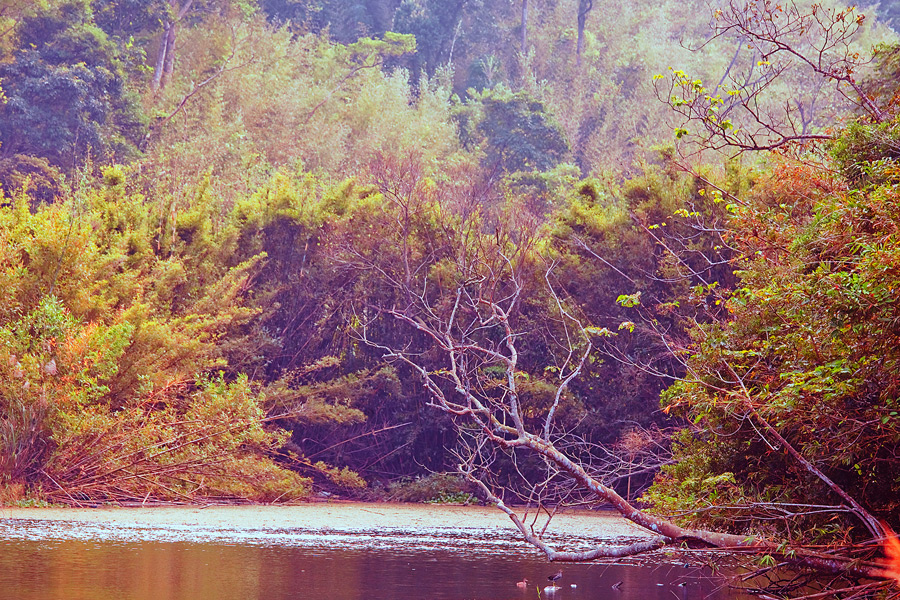 http://i.dcview.tw/gallery/201012/8468bf5341a66cc4c140460b7c518418.jpg