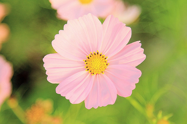 http://i.dcview.tw/gallery/201012/9831be99a63012c5cfcc97e8e2af9cad.jpg