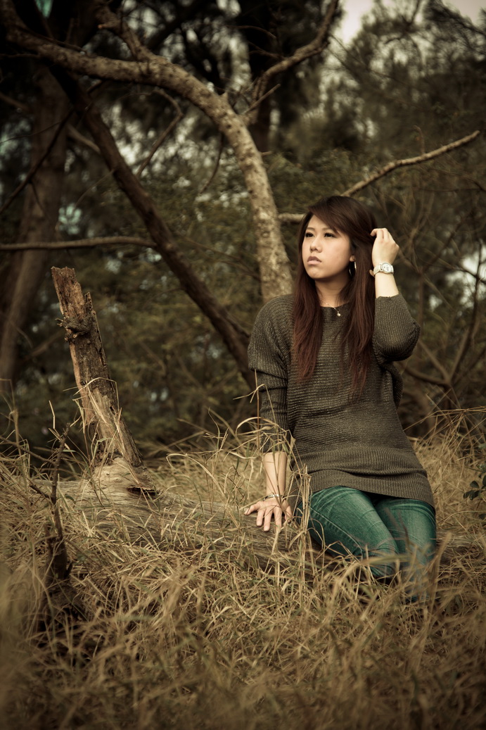 http://i.dcview.tw/gallery/201012/9861ed378c83a69c98456078acb35f45.jpg