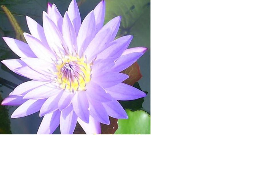 http://i.dcview.tw/gallery/201012/9d1678d61c593e7e66d093229c2e5962.jpg