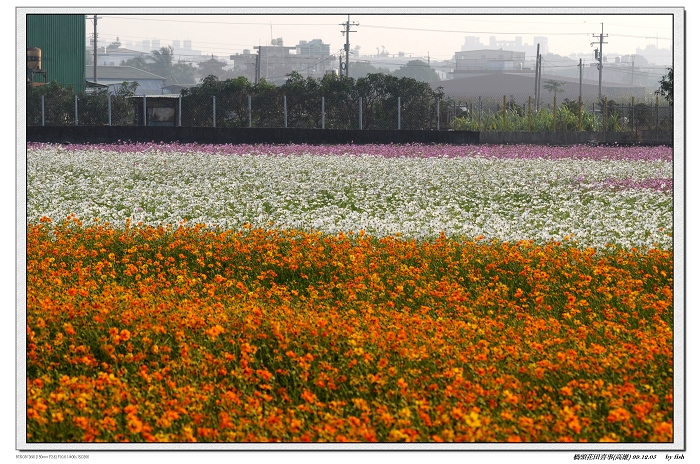 http://i.dcview.tw/gallery/201012/9f4dfb10b5c768f363d46a80196aee36.jpg