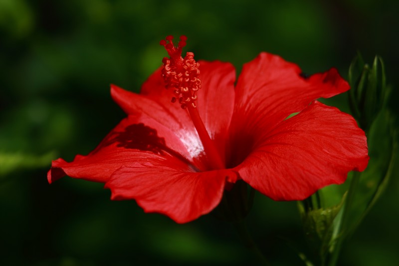 http://i.dcview.tw/gallery/201012/a58c671505896d875a3ef489b5d81715.jpg