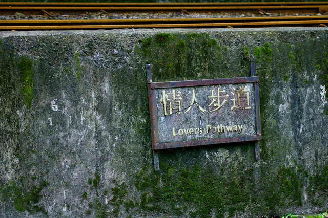 http://i.dcview.tw/gallery/201012/af1b15805c622b5c72df8ee05b7e58d8.jpg