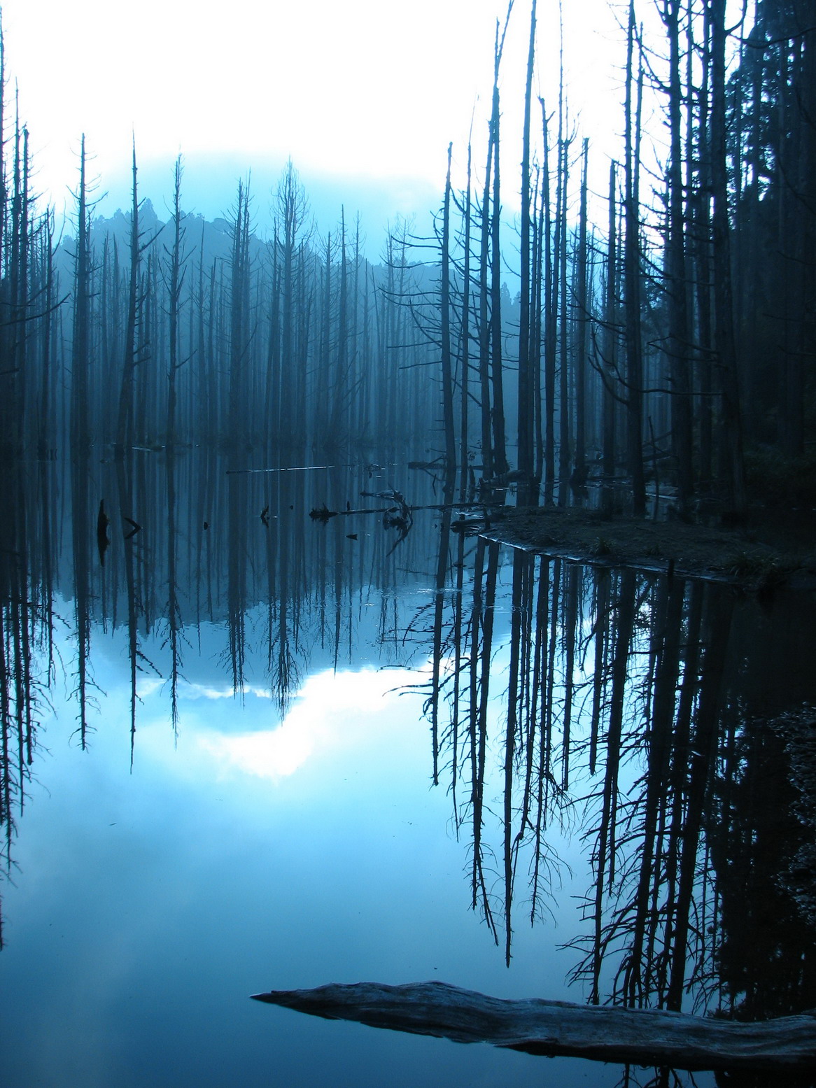 http://i.dcview.tw/gallery/201012/af7f567d3e3446e08cb18f32d4d5985b.jpg