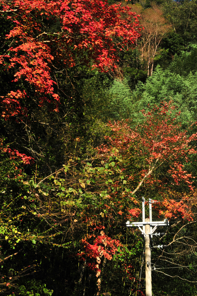 http://i.dcview.tw/gallery/201012/b007373878a3c247fc8c91ec9b9620f2.jpg