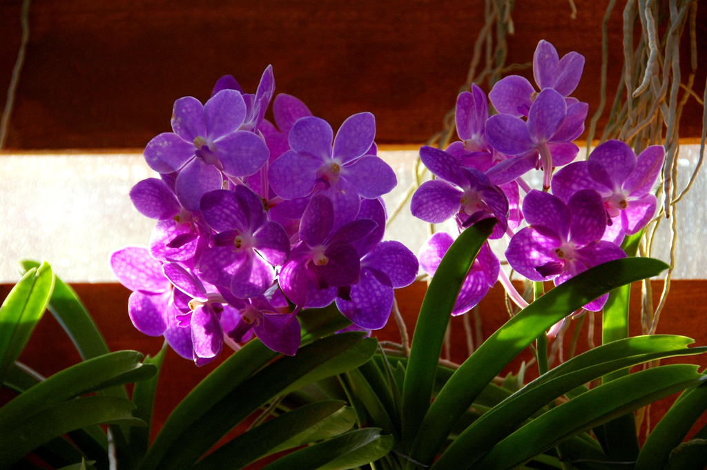 http://i.dcview.tw/gallery/201012/bb87f5db76dd1bb3cca9caaa78102949.jpg