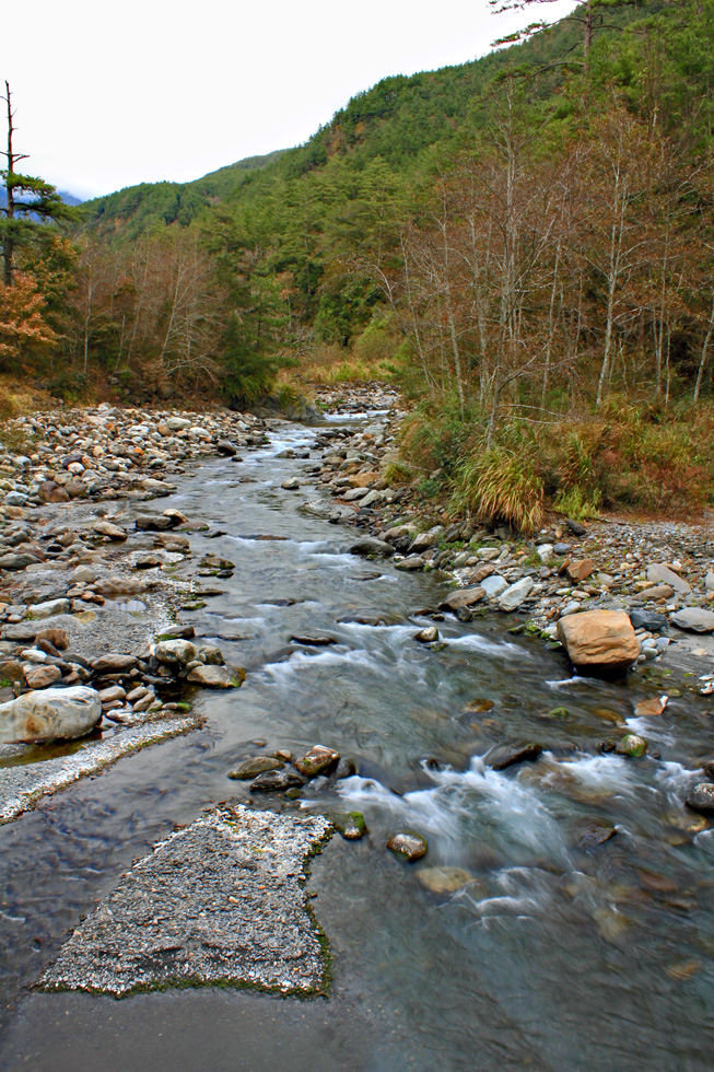 http://i.dcview.tw/gallery/201012/bd7fa5686721d68cdc2fcc12607d35f7.jpg