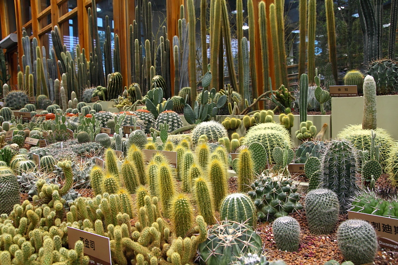 http://i.dcview.tw/gallery/201012/c33d80454b3997210c0041507b0c0032.jpg