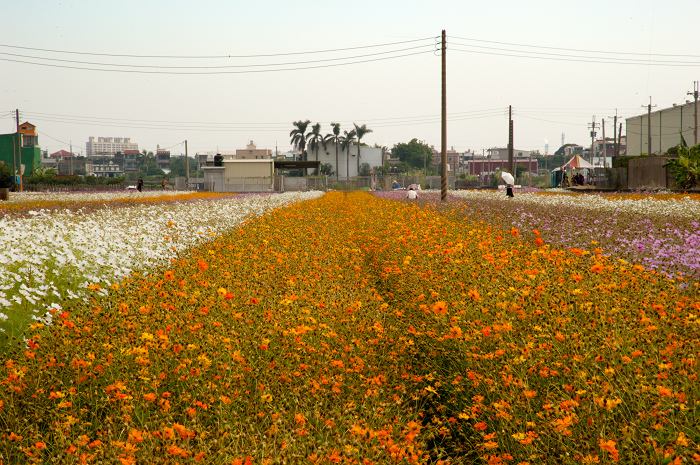 http://i.dcview.tw/gallery/201012/eef0b6a8ec7c9030abbac4489e1426e2.jpg