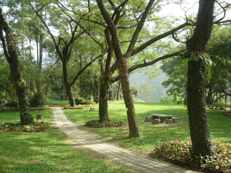http://i.dcview.tw/gallery/201012/f18203201dc20e5807fa39dac5f580a6.jpg