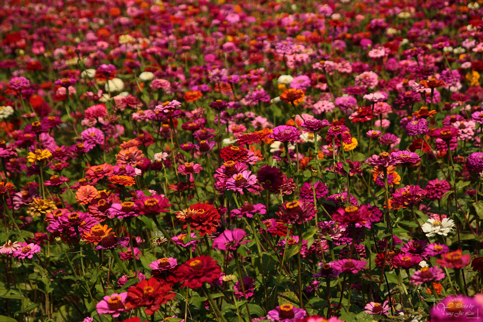 http://i.dcview.tw/gallery/201012/f4ce2d1460960a11edeb682bcccb48d1.jpg