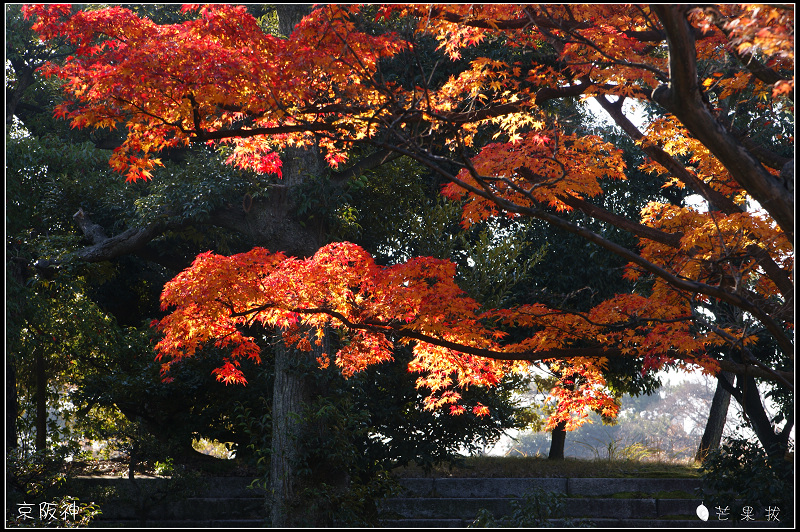 http://i.dcview.tw/gallery/201012/fe7b4c5c58880affce54496af07113d4.jpg
