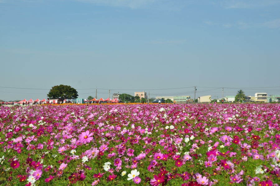 http://i.dcview.tw/gallery/201012/ffa2aa4bc483e4a234b50f5f6e481c06.jpg
