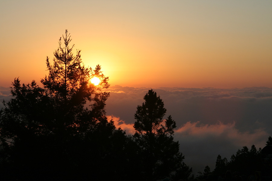 http://i.dcview.tw/gallery/201101/0c98a14064af214a4b8977e9b1bdbdf5.jpg