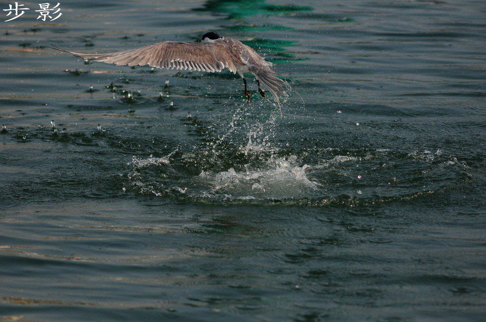 http://i.dcview.tw/gallery/201101/0e5ee4288b63ec783fa81b46436b1a7f.jpg