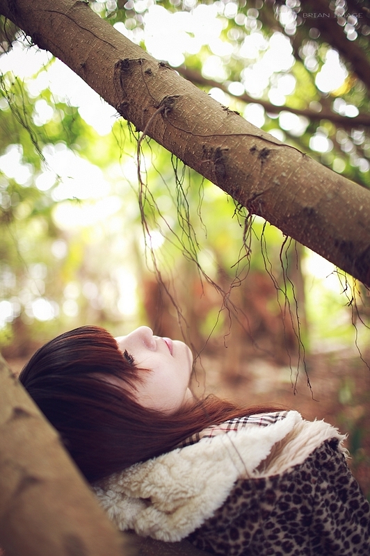 http://i.dcview.tw/gallery/201101/16a711f1bab45d6751374cc2bb8afa0c.jpg