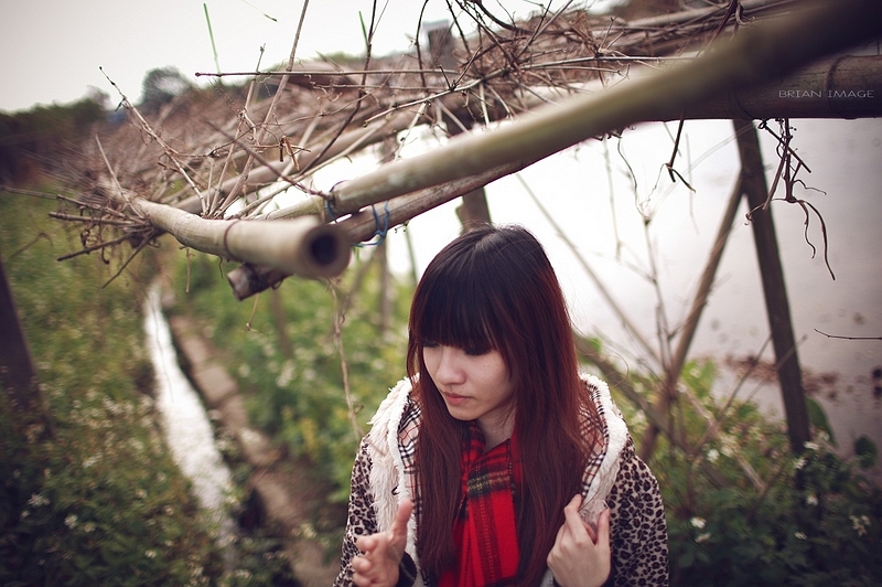http://i.dcview.tw/gallery/201101/175cb2a07d15001acf0ae583f2c36309.jpg