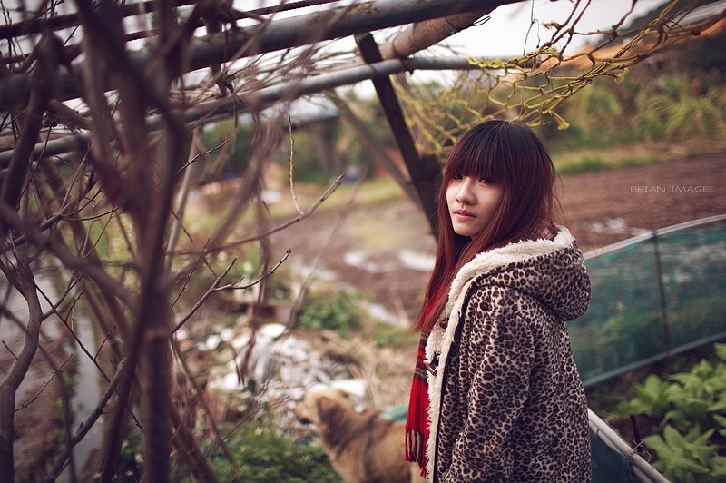 http://i.dcview.tw/gallery/201101/20998fe5021de4b1782dcf2fe287c771.jpg