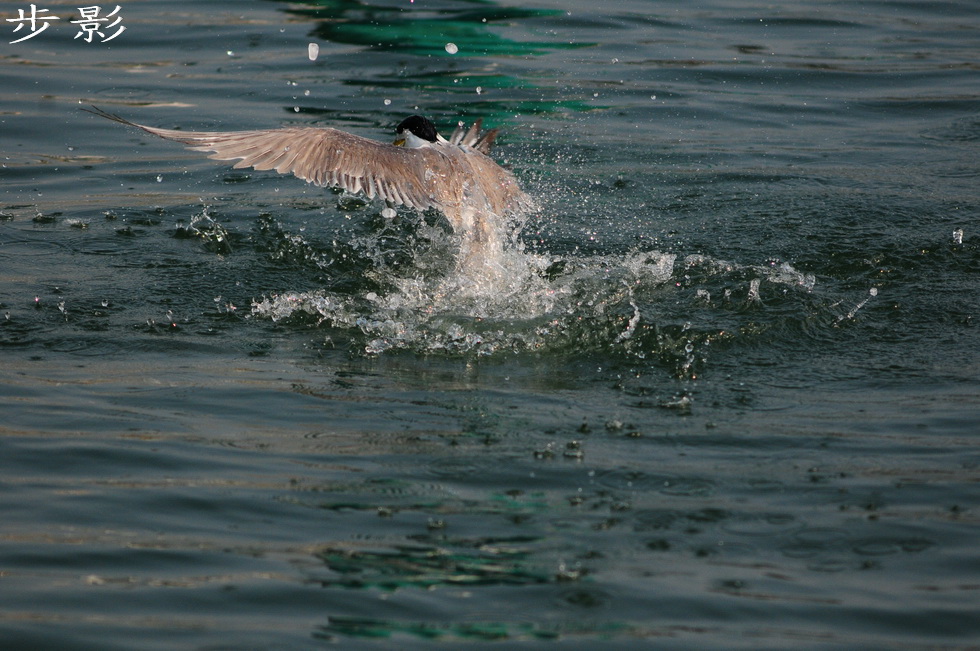 http://i.dcview.tw/gallery/201101/209ff022a7f7ffc1d18a4934c238ba2b.jpg