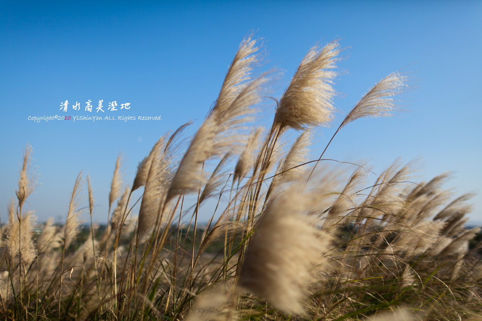 http://i.dcview.tw/gallery/201101/38ae330995b74ebdcbe584999543e9ce.jpg
