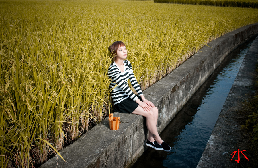 http://i.dcview.tw/gallery/201101/406e43624431a7785290955b62e7c714.jpg
