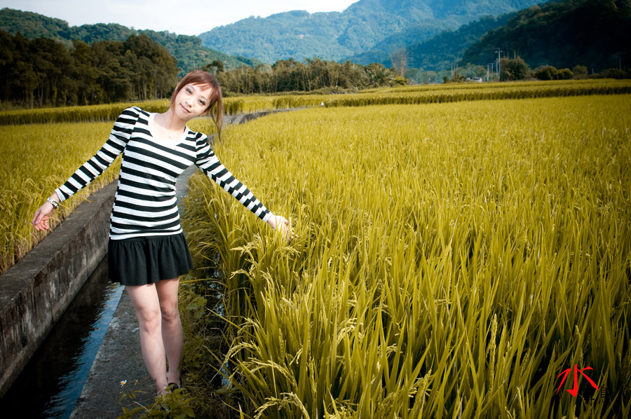 http://i.dcview.tw/gallery/201101/42cf176e4e8172151fa9ad441ec967e0.jpg