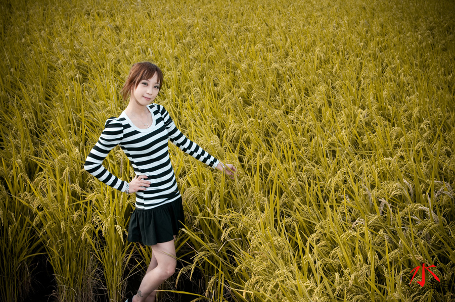 http://i.dcview.tw/gallery/201101/437aac2026af755f1fe9604d47c5b866.jpg