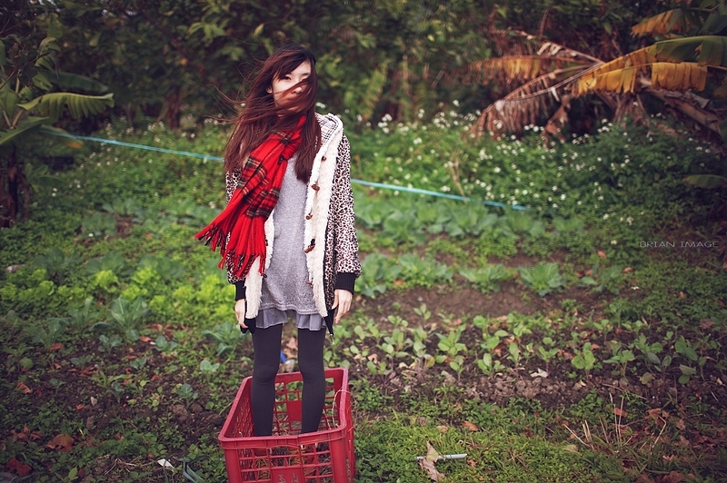 http://i.dcview.tw/gallery/201101/450765096b85204646439d03a681dd90.jpg